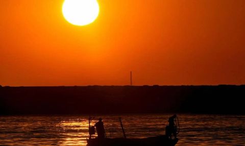 Shakira'nın Fare Korkusu Sosyal Medyayı Salladı