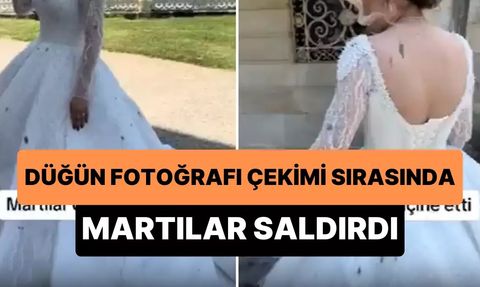 Binlerce Liralık Gelinlik Giyen Gelinin Martı Şanssızlığı
