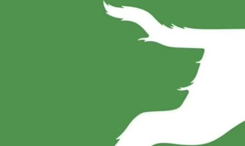 Optik İllüzyon Testleri: Baş mı Bacağa mı Bakıyorsunuz?