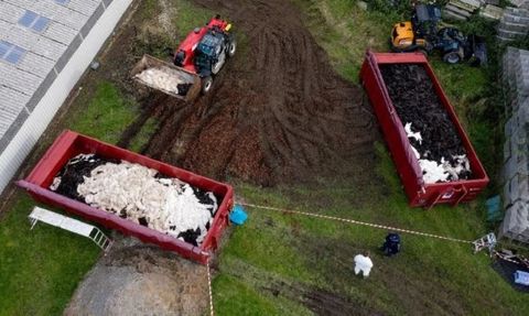 Finlandiya’da Kuş Gribi Nedeniyle Kürk Çiftliklerinde İtlaf Talimatı