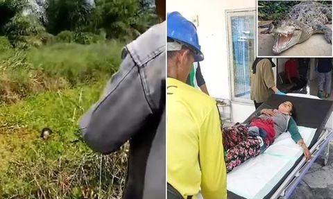 Endonezya'da Timsah Saldırısına Uğrayan Kadın Kurtarıldı