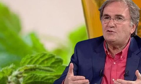 İbrahim Saraçoğlu'nun İşaret Ettiği İnanılmaz Besin: Isırgan