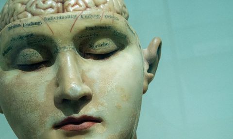 Her Şeyi Unutanlara Bitkisel Çözüm! Hafızayı Güçlendiren Besinler