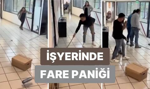 İş Yerine Giren Fare Üzerine Gelince Olanlar Oldu! Görüntüler Meksika'dan...