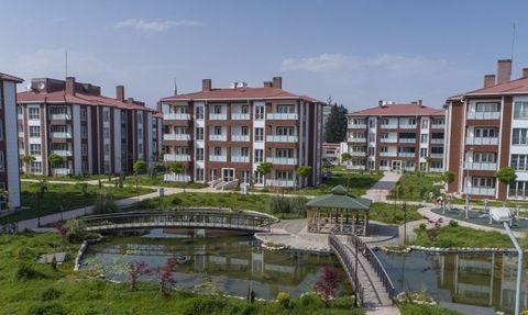 0.53 ve 0.99 Faizle Devlet Destekli Nakit Kredi İmkanı Başladı!