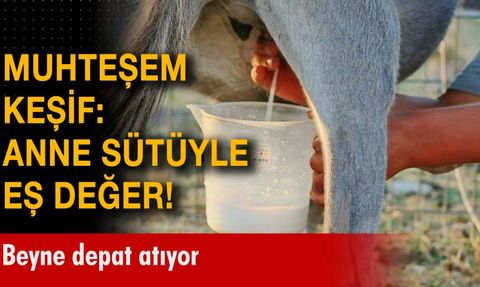 Serebral Palsi İçin Umut Verici Haber: Anne Sütündeki Yağ Molekülleri Hastalığı Önleyebilir