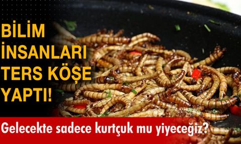 Illinois Urbana-Champaign Üniversitesi'nde Yapılan Araştırmada Kurtçukların Protein Miktarının Sağlığa Faydası Keşfedildi