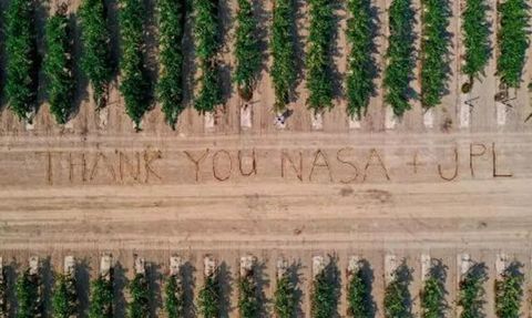 NASA'nın Hava Bilim Aracı Üzüm Hastalığıyla Savaşıyor