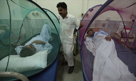 Bangladeş'te Dang Humması Kaynaklı Ölümler Artıyor