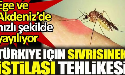Türkiye için sivrisinek istilası tehlikesi