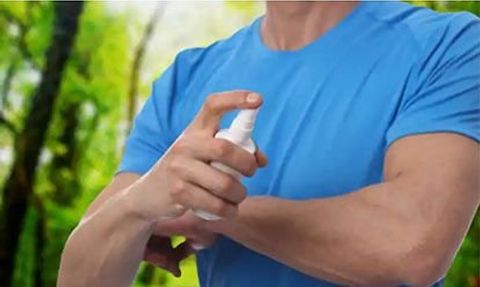 Doğal Sinek Kovucular ve Sıcak Hava Şartlarına Karşı Önlemler