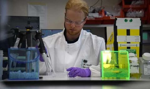 Porton Down: Gelecek Salgınları Önlemek İçin Çalışıyor