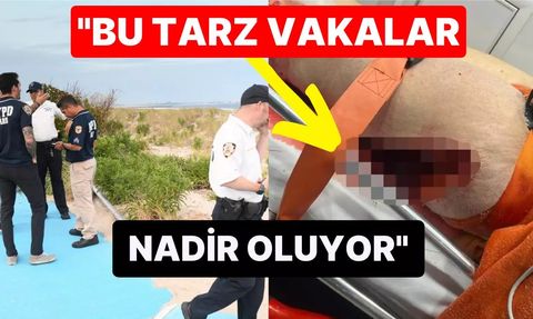 New York'ta Köpek Balığı Saldırısı: Bir Kişi Ağır Yaralandı