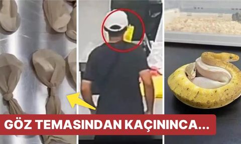 Gümrükte Akılalmaz Olay: Cebinden 14 Adet 'Canlı Yılan' Çıktı