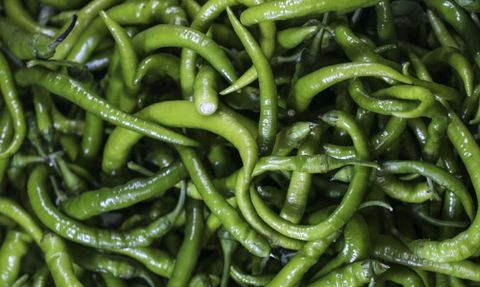 Yeşil Biberin Faydaları ve Besin Değeri