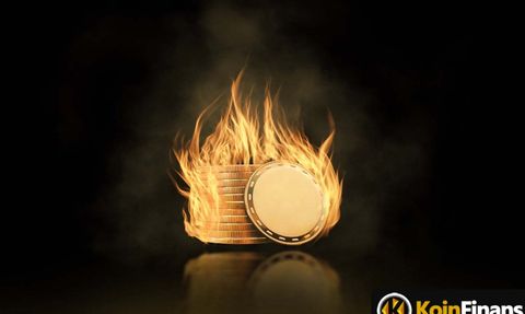 Shiba Inu Yakım Oranı %800 Arttı