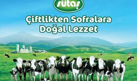 Sütaş 2022'de İhracatta Rekor Kırdı