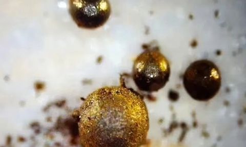 Güneş Sistemimizin Dışından Gelen Materyaller Bulundu