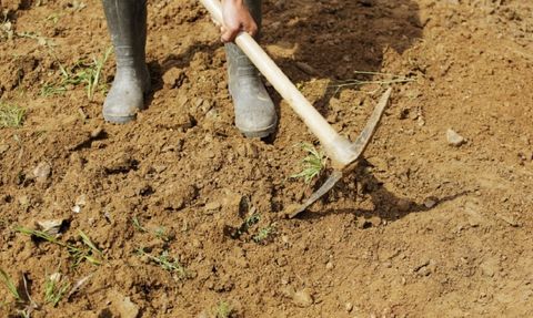 Kazmayı Vurdukça Gözleri Açıldı! Toprağın Altından Öyle Bir Şey Çıktı Ki…