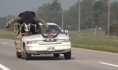 ABD'de İnek Av Tüfeğiyle Otoyolda Seyahat Eden Adam