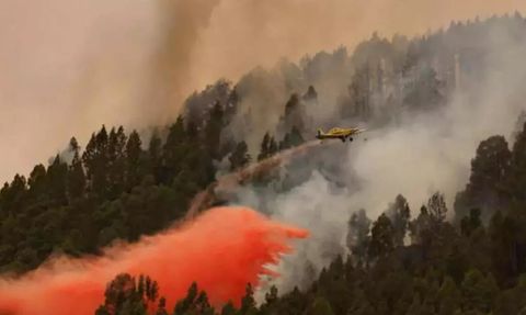 Tenerife Adası'ndaki Orman Yangınının Bilançosu Açıklandı
