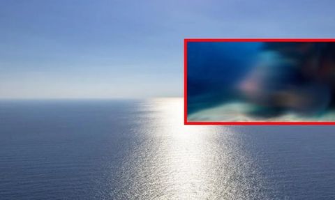 Amerika Birleşik Devletleri'ni Kasıp Kavuran Bir Balık Türü