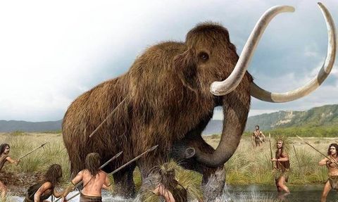 İlk İnsanların Sayısı 900 Bin Yıl Önce Azalmaya Başladı