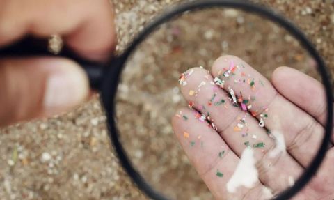 Mikroplastikler Beyinlerde Birikebilir ve Davranış Değişikliklerine Yol Açabilir