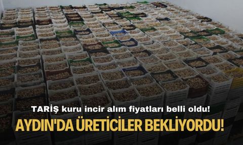 Aydın'da üreticiler merakla bekliyordu! TARİŞ kuru incir alım fiyatları belli oldu!