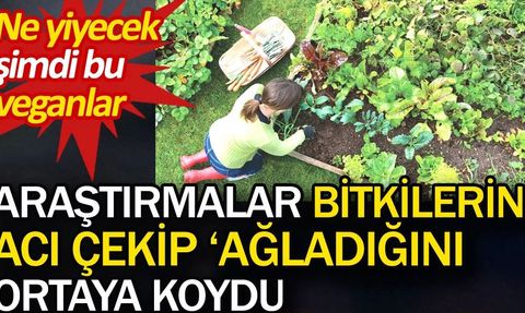 Bitkilerin Acı Çektiği ve Ağladığı Araştırmalarla Ortaya Konuldu