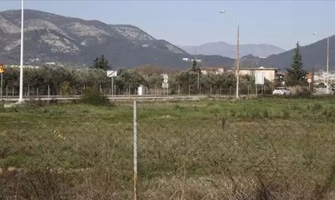 20 Mezar Taşına Saldırı: Batı Trakya'da Yaşanan Olay