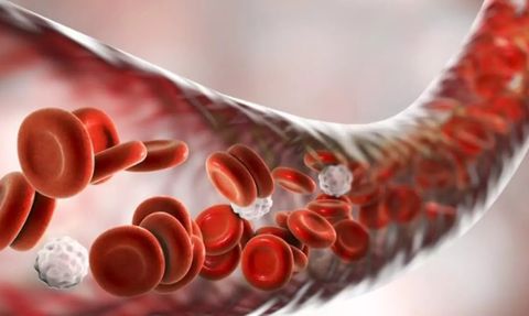 A ve B Grubu Kana Sahip Olanlar Dikkat! O İllet Hastalığa Yakalanma İhtimaliniz Yüzde 82: Hemen Önlem Alın