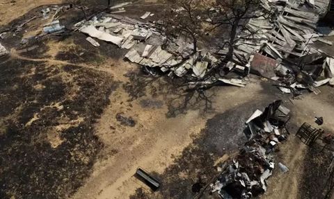 Yunanistan'da Orman Yangınları: Dadia'da 2 Haftadır Devam Eden Yangın Kontrol Altına Alınmak Üzere