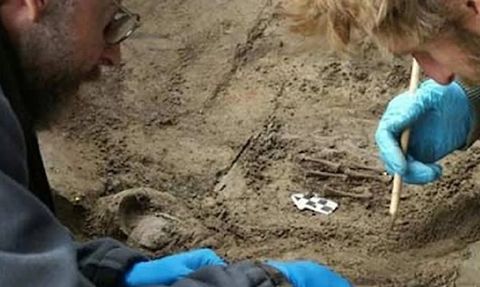 Çin'de Kuş Benzeri Dinozor Fosili Bulundu