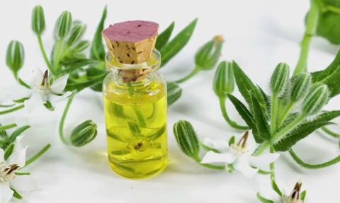 Hodan Yağı Nedir? Nasıl Kullanılır? Hodan Yağının Faydaları Nelerdir?