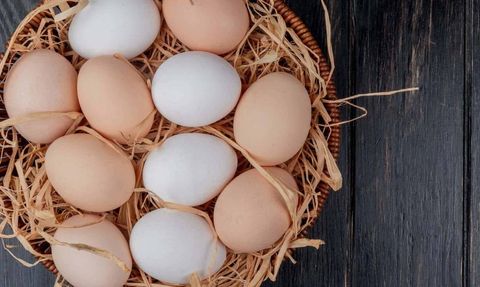 Yumurtaların Sağlık Açısından Taşıdığı Tehlikeler