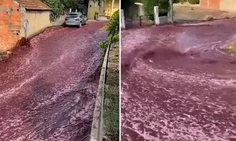 Portekiz'de İçki Tankları Çöktü: São Lourenco do Bairro Kasabası İçki Nehrine Döndü