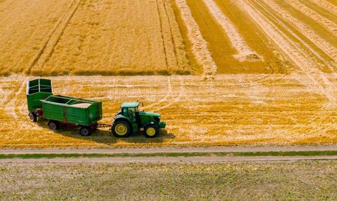 TOBB Güncellemesiyle Buğday ve Arpa Fiyatları Belli Oldu