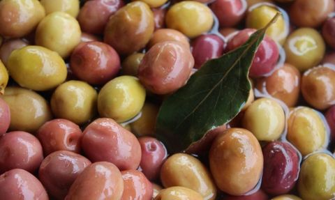 Zeytinin Yanlış Tüketimi ve Kanserle Mücadelede Artemisia Annua Bitkisi