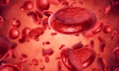 Saç Dökülmesi Neden Olur? Saç Dökülmesini Önlemek İçin Neler Yapılabilir?