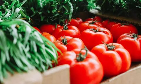 Domatesin Bilinçsiz Tüketimi ve Potansiyel Zararları