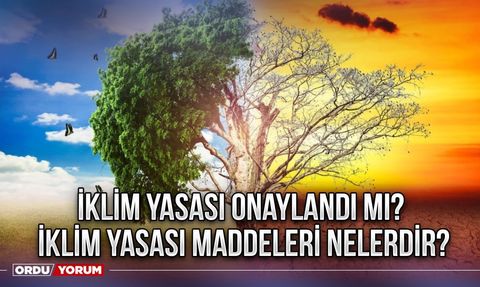 İklim Yasası Nedir ve Neleri Kapsar?