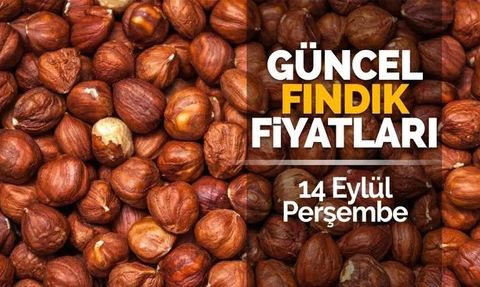 Karadeniz'de Fındık Fiyatları Yükseliyor