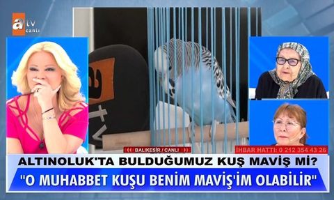 Müge Anlı ile Tatlı Sert Programında Kayıp Kuş Maviş'in Bulunması