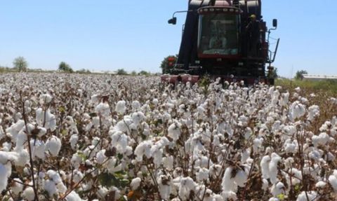 Borsada İşlem Gören Ürünler ve Fiyatları