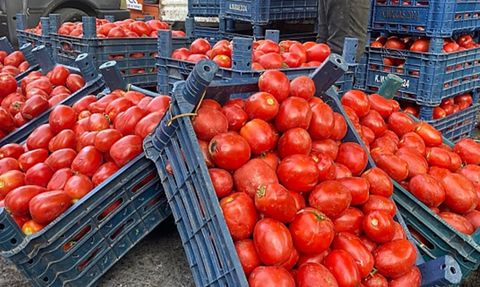 Salçalıkta Fiyat Değişti