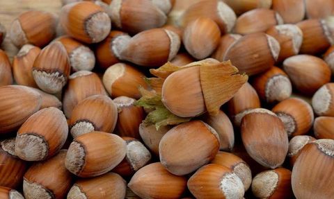 TZOB Genel Başkanı Şemsi Bayraktar: Markette en fazla fındığın fiyatı arttı