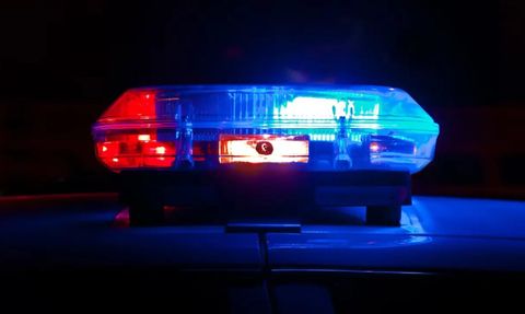 Avusturya'da köpeğin saldırdığı kadın hayatını kaybetti