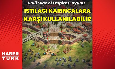 Bilgisayar Oyunları ile Karınca Türleri Arasındaki Savaşlar Benzerlik Gösteriyor