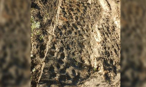 Uçurumdaki Ayak İzleri Dehşete Düşürdü
